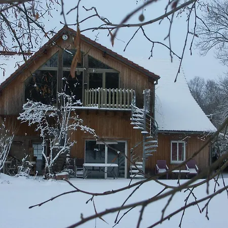 Elegant In Near Forest France *