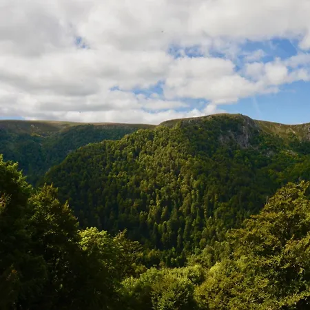 Elegant In Near Forest, France * Niderviller