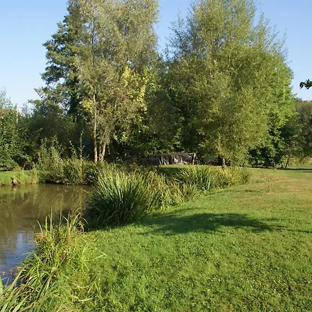 Elegant In Near Forest, France *