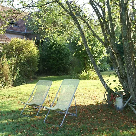 Elegant In Near Forest, France * Niderviller