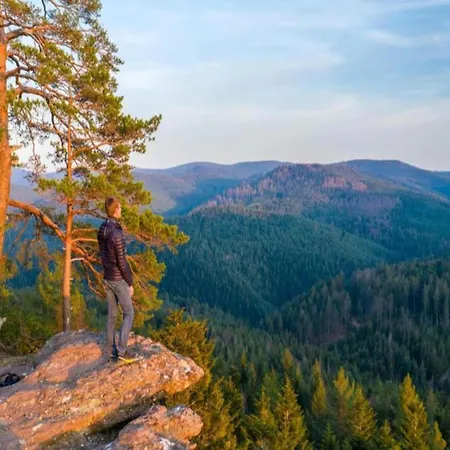Elegant In Near Forest, France *