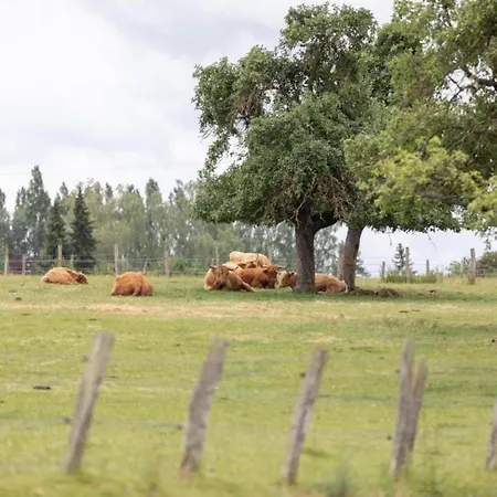 Casa de Férias Elegant In Near Forest, France *