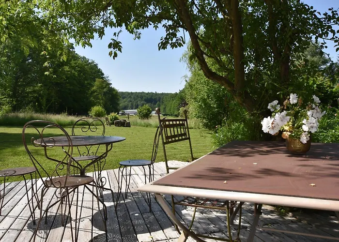 Elegant In Near Forest, France *