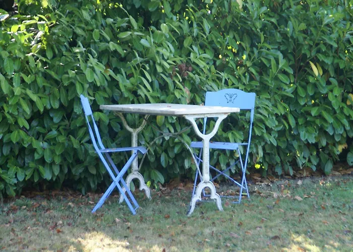 Elegant In Near Forest, France