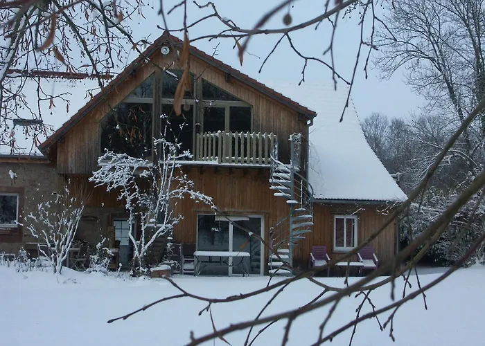Elegant In Near Forest, France